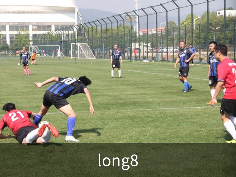 long8简介